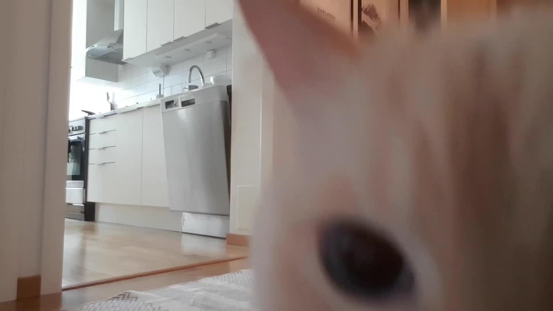 “Left My Cat Alone With A Camera For 30 Minutes And Now I Can Never Leave Again”