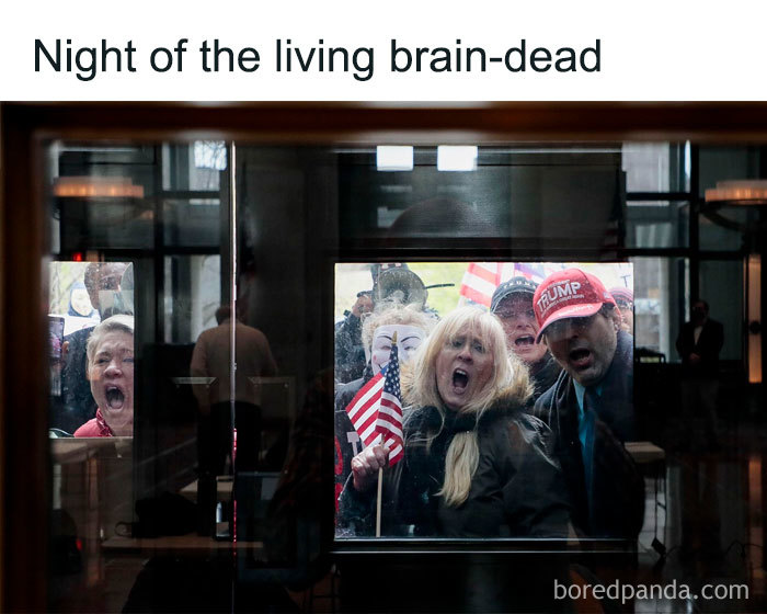 Night Of The Living Brain-Dead