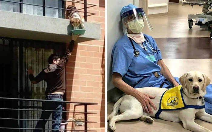 If You Think People Are The Worst These Days, These 35 Wholesome Pics May Change Your Mind (New Pics)