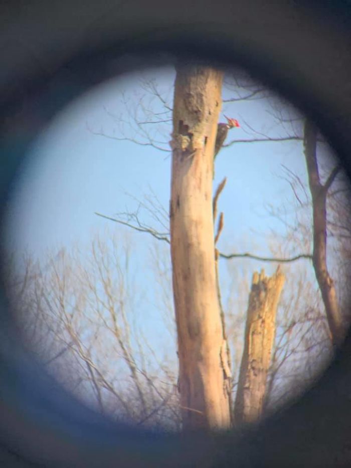 “Who Needs A Fancy Camera?!” I Say To Myself As I Push My iPhone Up Against My Binoculars. It Was Me. I Needed A Better Camera.