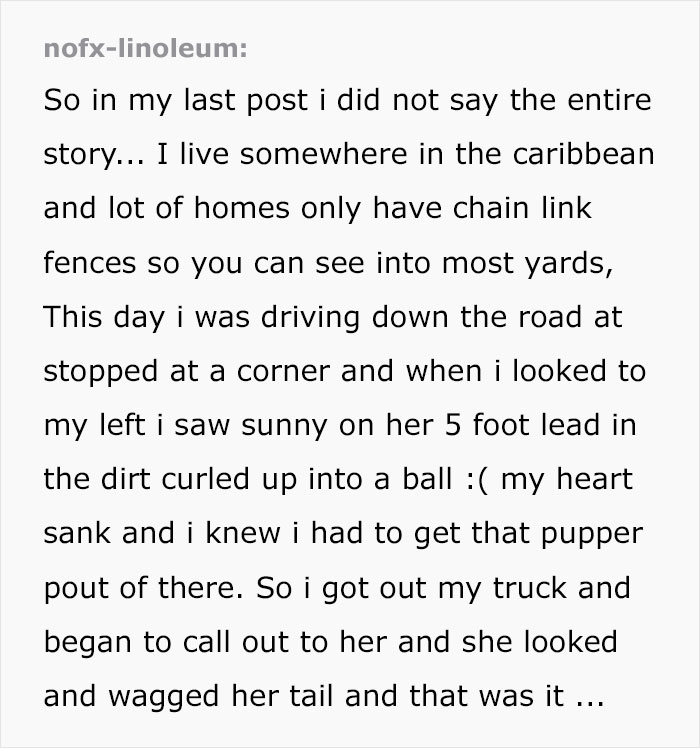 Guy Jumped The Fence To "Steal" A Starving Dog From Negligent Owners, Gets Kudos From The Internet