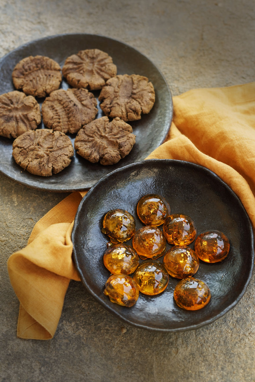 Fossil Cookies And Amber Candies