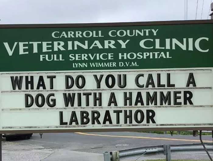 Funny-Carroll-County-Veterinary-Clinic-Signs