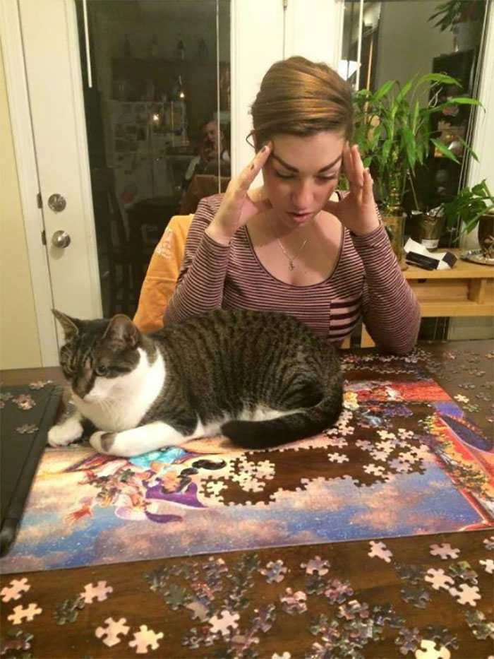 funny cat puzzles
