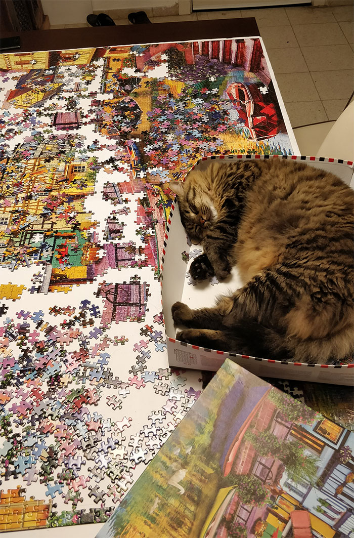 My Cat Isn't Very Helpful With Puzzles I Guess