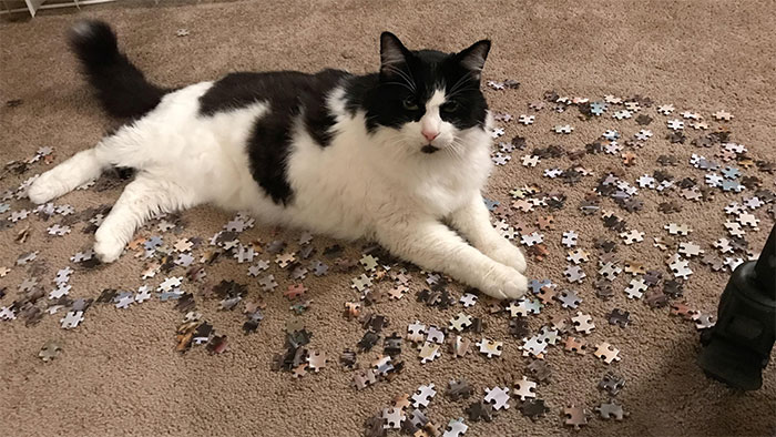 He Said, “Puzzle Time Is Over”