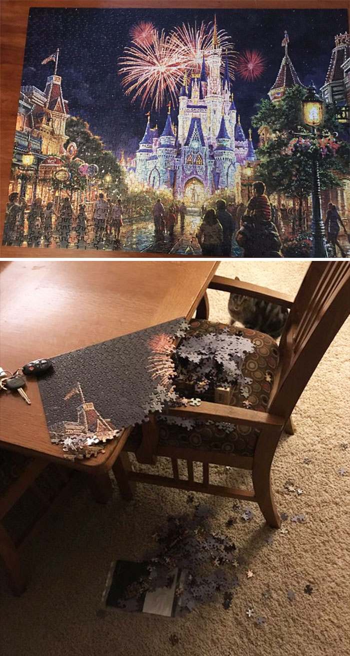 I’m Not Good At Puzzles, But I Got Obsessed With This Beautiful Puzzle Over The Break. This Morning, I Woke Up To My Cats’ Destruction