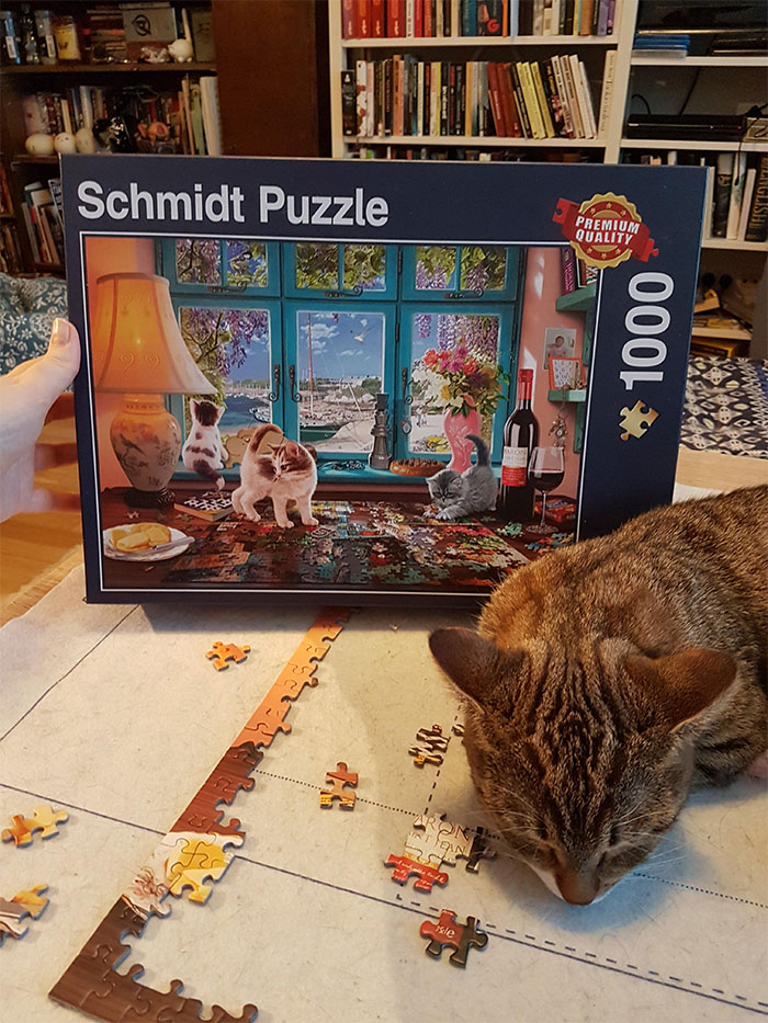 Cat On A Puzzle With Cats On A Puzzle