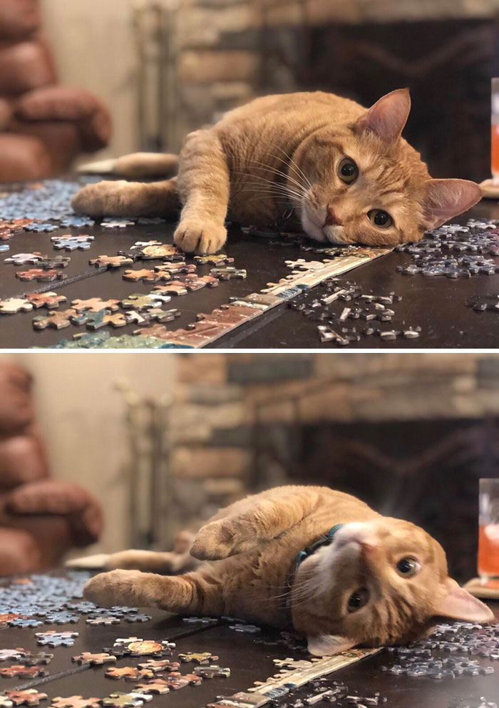 The Reason Why It Takes Us Forever To Finish A Puzzle