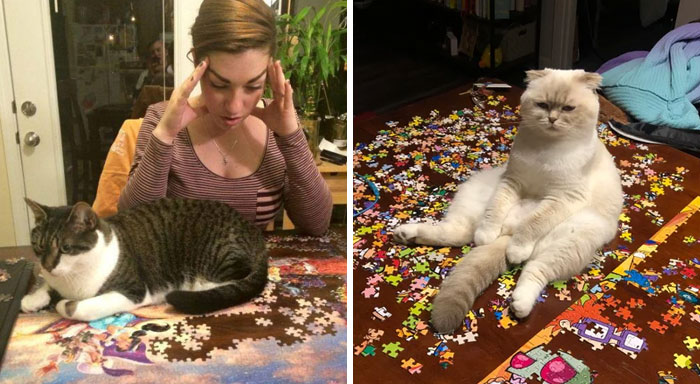 30 Photos That Show The Reality Of Trying To Finish A Puzzle With Your Cat