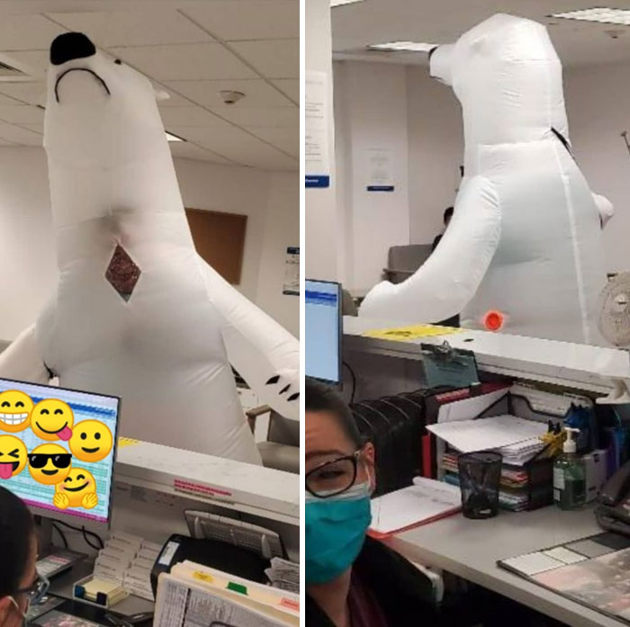 This Guy Didn't Have A Mask, So He Came To The Orthopedist As A Polar Bear