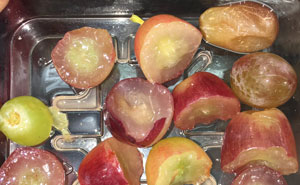 40 Times People Did Exactly What They Were Asked To But The Results Were Hilarious