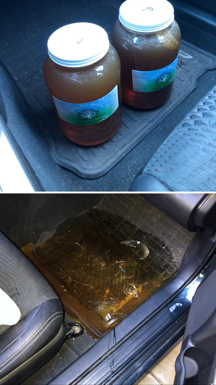 A Gallon Jar Of Honey Cracked And Spilled In My Friend’s Car The Other Day