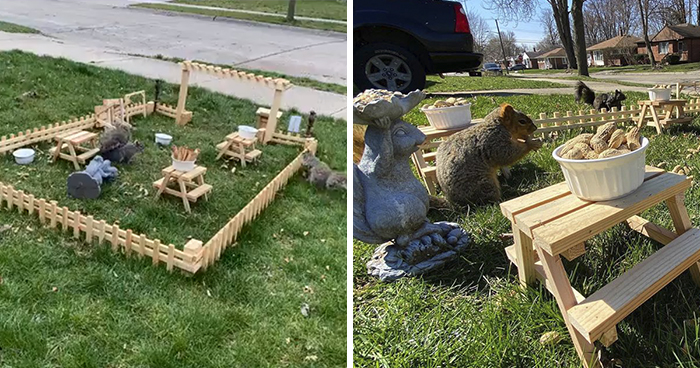 Man Uses Quarantine Time Creatively And Builds A Tiny Restaurant For Animals In His Yard