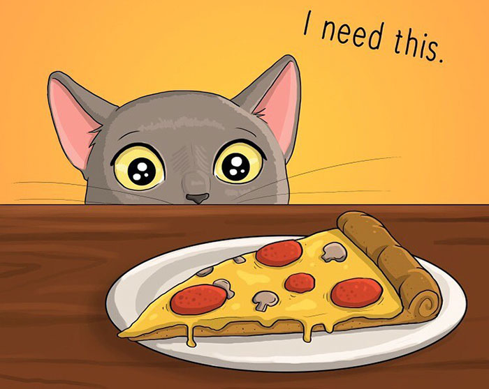 Artist Illustrates Everyday Life With A Cat In These 31 Relatable Comics