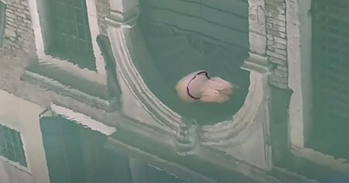 Biologist Captures Jellyfish Swimming Through Venice‘s Crystal Clear Canals