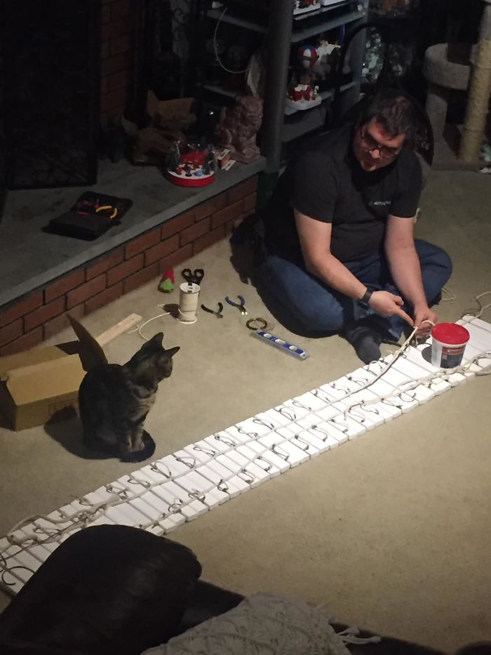 Man Builds Two Kitty Towers For His Cats And So Many People Want It, He's Gonna Start Selling The Building Plans