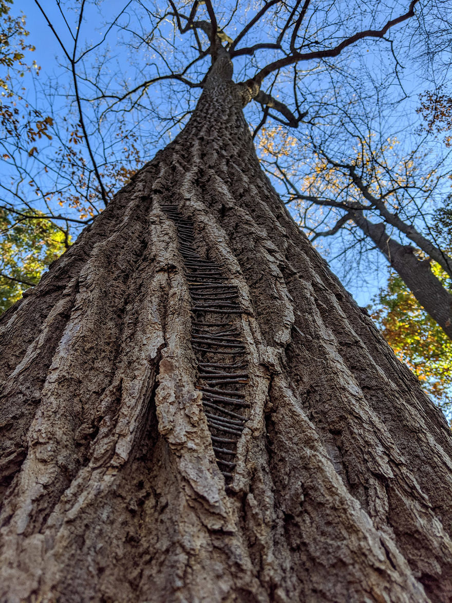 Allison Tyler's Curious Land Art Is So Precarious It Might Never Be Seen Allison Tyler's Curious Land Art Is So Precarious It Might Never Be Seen