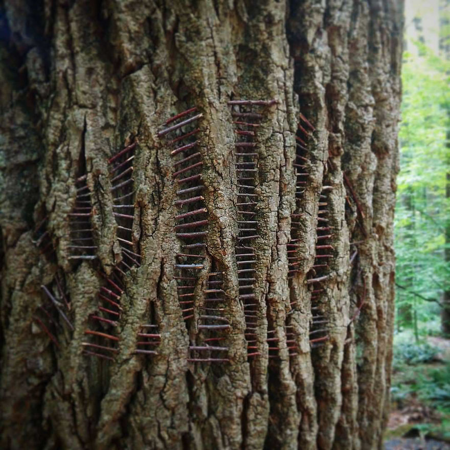 Allison Tyler's Curious Land Art Is So Precarious It Might Never Be Seen Allison Tyler's Curious Land Art Is So Precarious It Might Never Be Seen