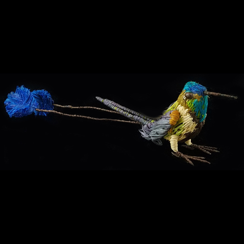 marvelous-spatule-tail-hummingbird-500-px-5eab1b6352b67.jpg