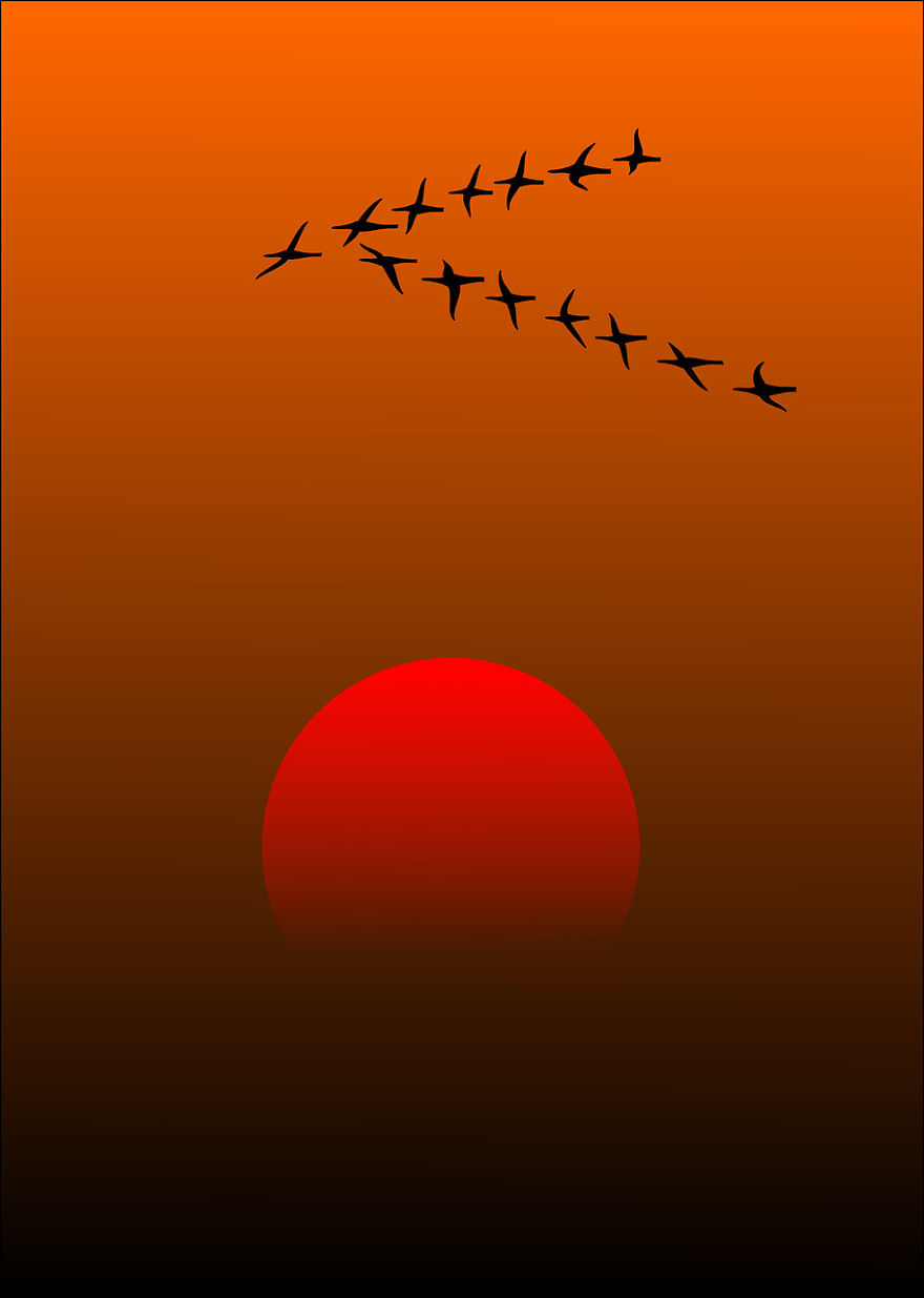 Migratory Birds And Sunset