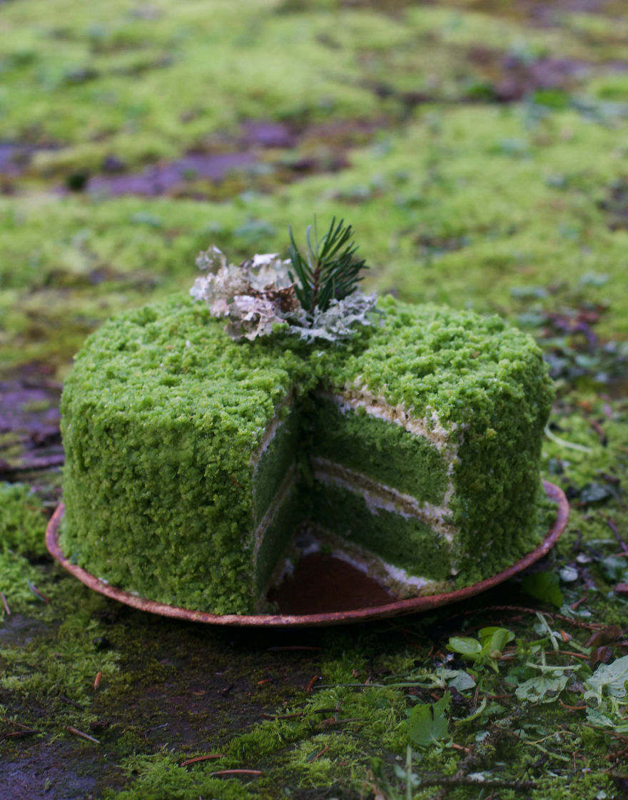 Moss Cake