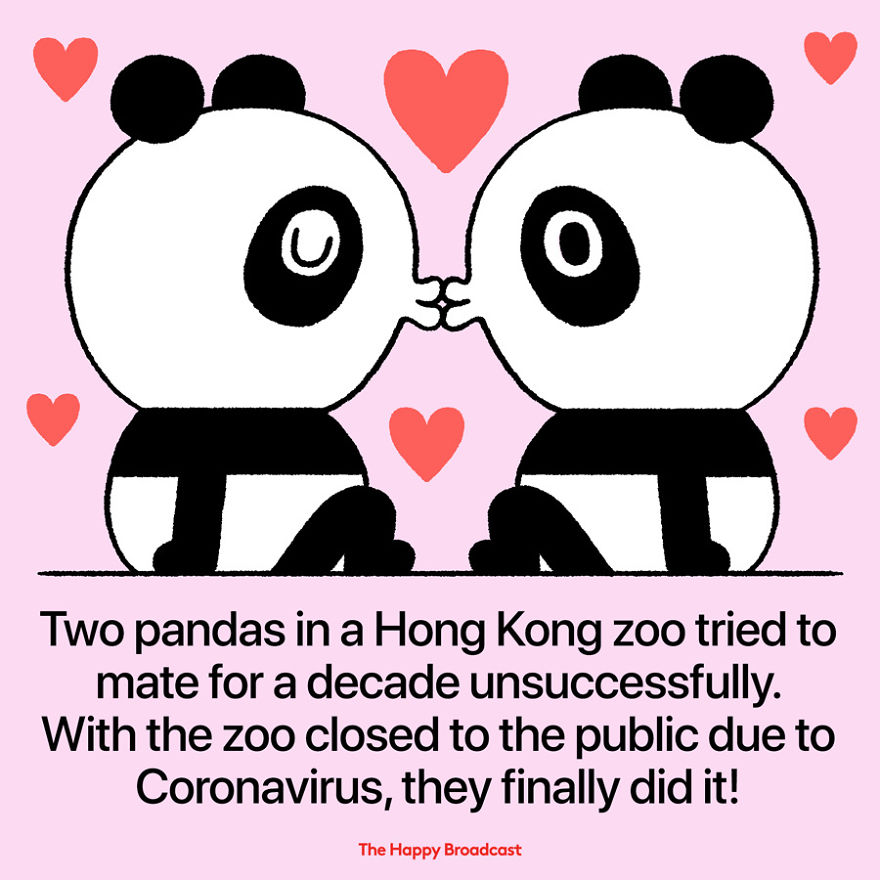 In A Moment When The World Seems More Desperate Than Ever For The Slightest Ray Of Hope, I Illustrated Some Good News From All Over The World Regarding The Coronavirus Situation.