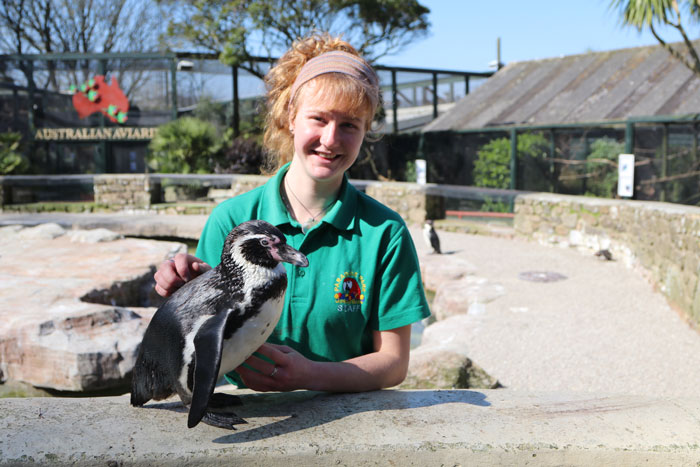 Zookeepers Self-Isolate In A UK Wildlife Park For 3 Months To Take Care Of Animals