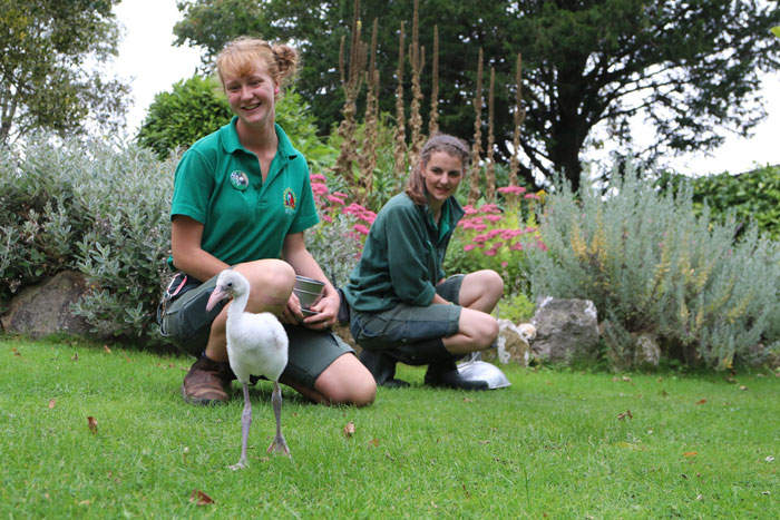 Zookeepers Self-Isolate In A UK Wildlife Park For 3 Months To Take Care Of Animals