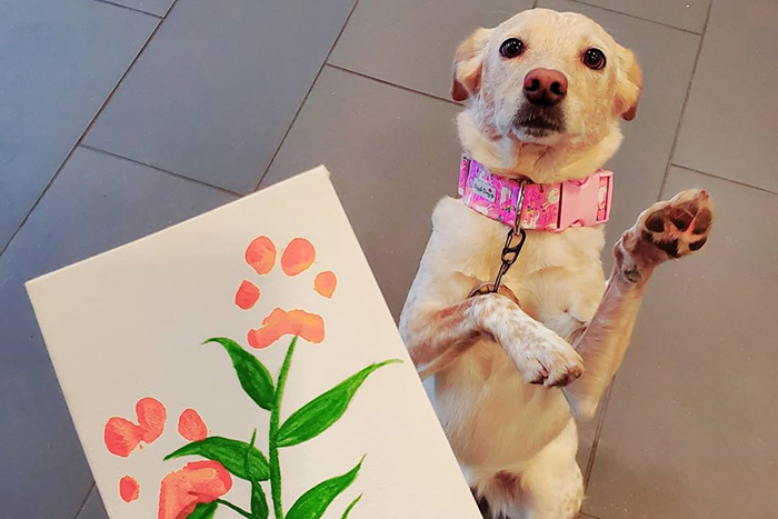 30 Adorable Works Of Art Made By Even More Adorable Pawcassos