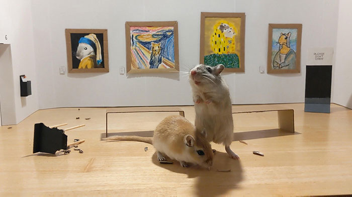 Quarantined Couple Creates A Miniature Art Gallery For Their Gerbils With Iconic Paintings