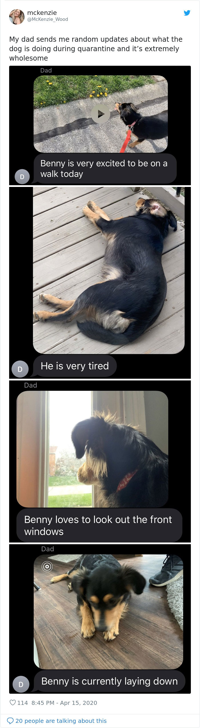 Wholesome Dad Sends Updates About The Family Dog