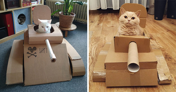 People Are So Bored During Quarantine That They’re Building Cardboard Tanks For Their Cats (30 Pics)