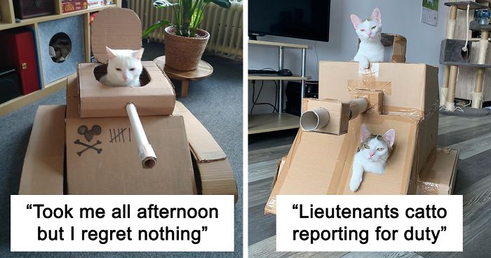 People Are So Bored During Quarantine That They're Building Cardboard Tanks  For Their Cats (30 Pics) | Bored Panda