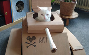 People Are So Bored During Quarantine That They’re Building Cardboard Tanks For Their Cats (30 Pics)