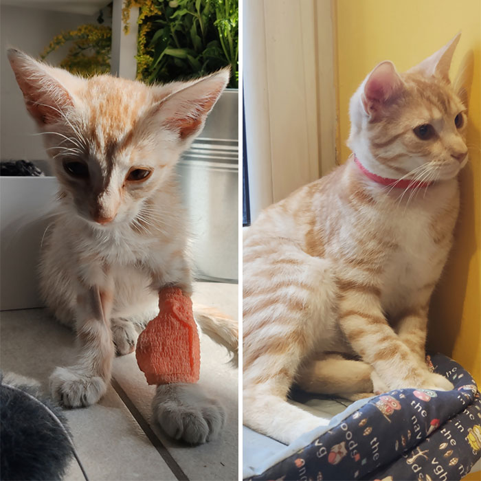 Fenek - Six Months Ago And Today