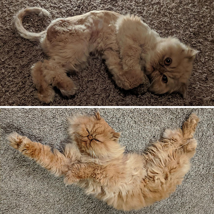 Three Months & Two Lbs Later