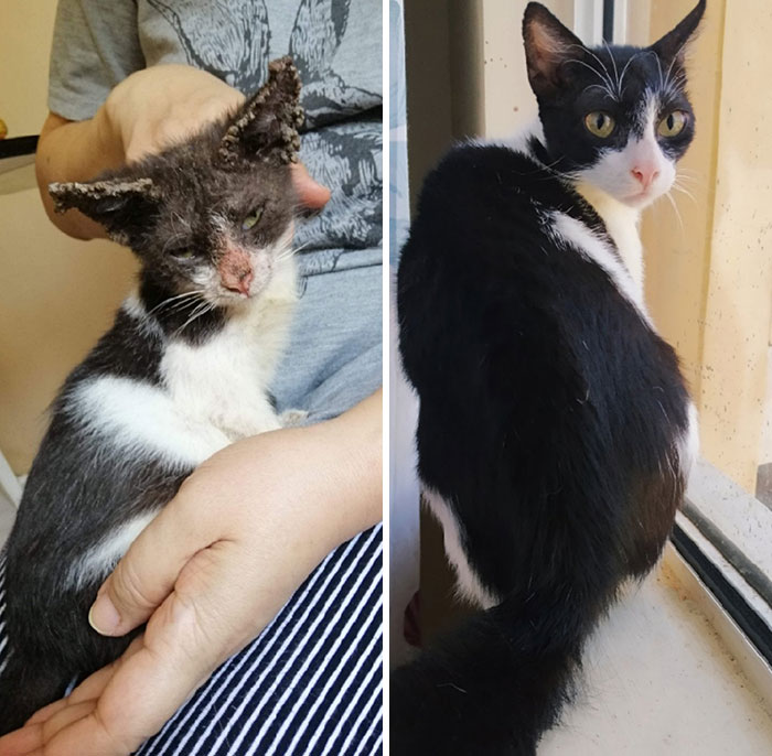 Sundae, When We Found Her In The Streets vs. 9 Months Later 