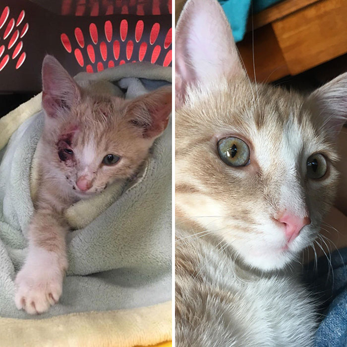 Little Man Rescue Almost One Year Ago And Today