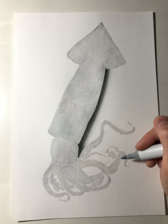 Japanese Artist Creates Incredibly Realistic Drawing Of A Squid That Looks Like A High-Resolution Photograph