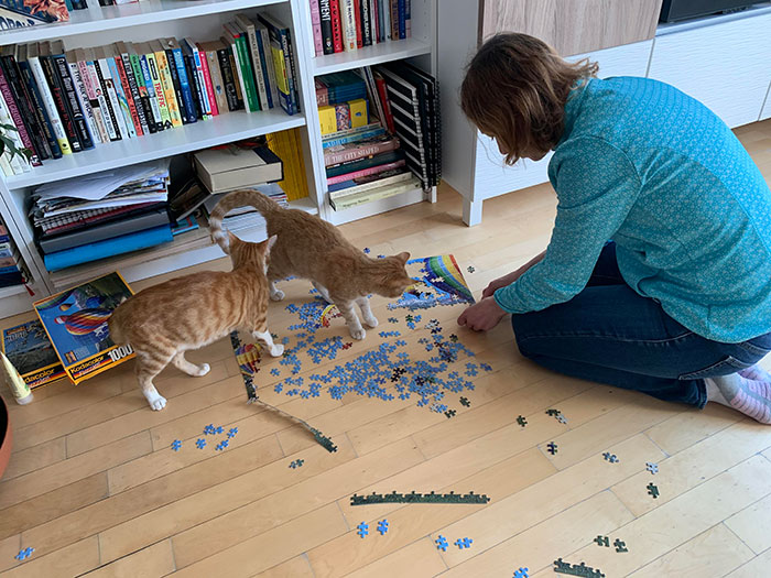 Kittens And Puzzling - Why Bother?