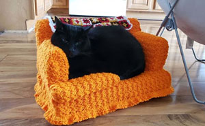 La gente usa su tiempo libre tejiendo a ganchillo pequeños sofás para sus gatos
