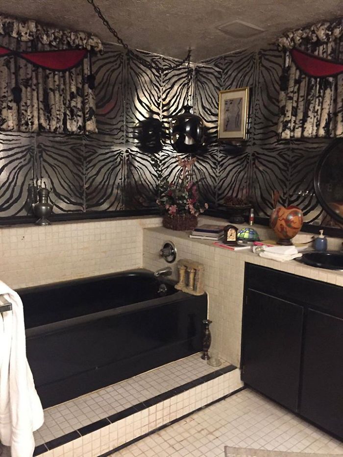 Metallic Zebra Print Wallpaper And Cow Print Plush Curtains Ps: This Is In A Basement And Those Are Fake Windows