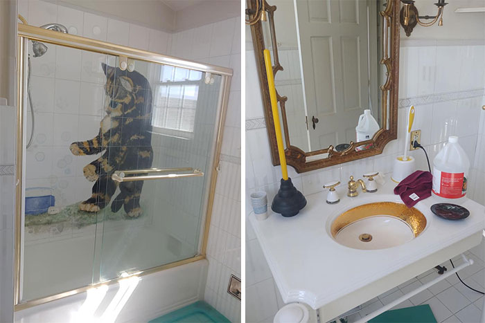 My Old Bathroom. Complete With A Hand Painted Mural Of A Cat And A Gold Rimmed Sink