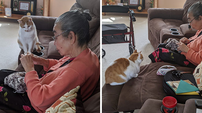 My Cat Ripped Open His Favorite Toy. This Is My Grandma Sewing It Back Together