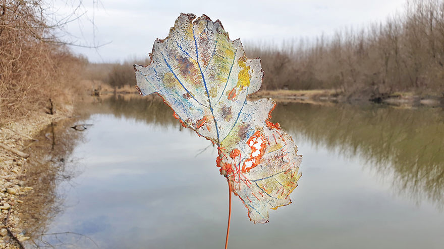 Traveling Leaves Traveling Leaves