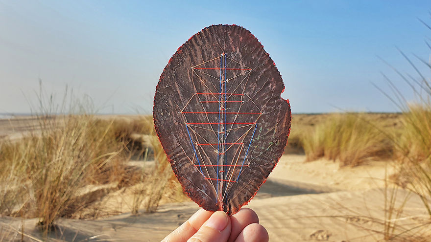 Traveling Leaves Traveling Leaves