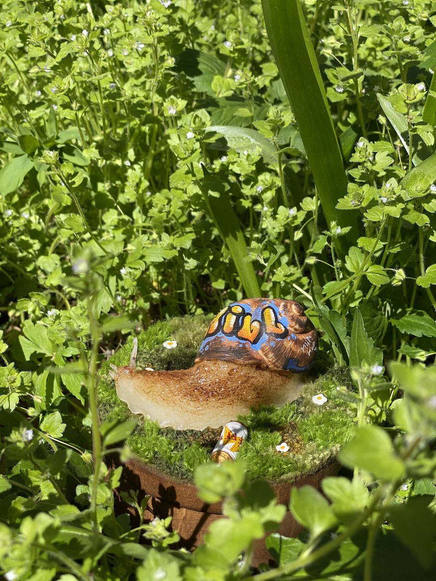 Creations Inspired By Nature