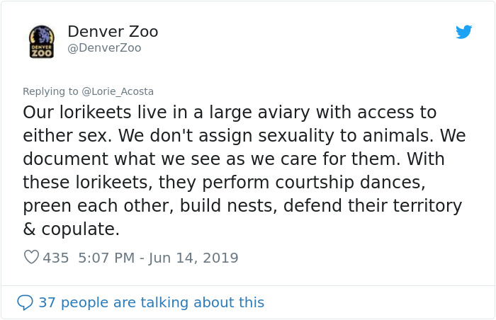 Homophobes Attack This Perfectly Innocent Same-Sex Lorikeet Couple, Get Shut Down By Denver Zoo
