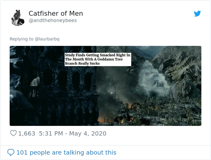 Person Matches Scenes From 'The Lord Of The Rings' To Funny Headlines From 'The Onion' And Fans Find It Hilarious